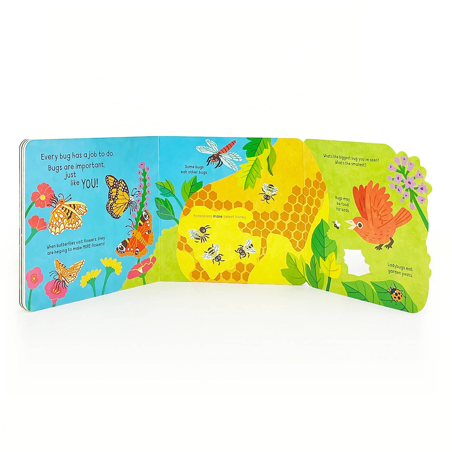 Cottage Door Press - Little Wonders: Bugs   Interactive Board Book