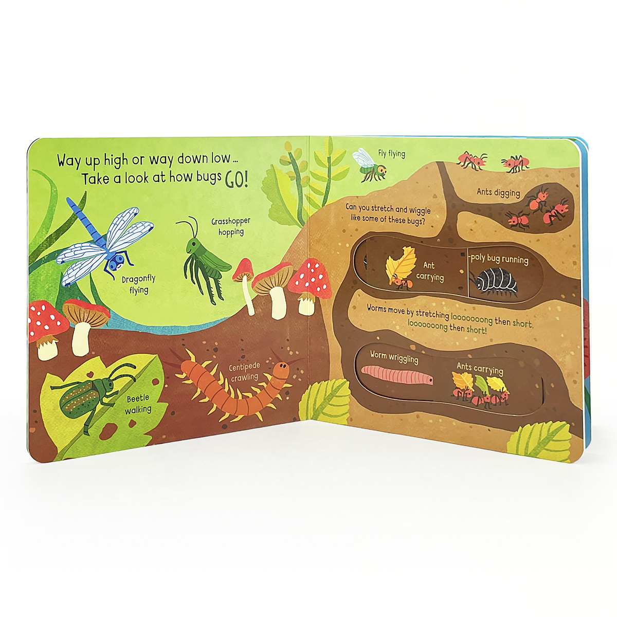 Cottage Door Press - Little Wonders: Bugs   Interactive Board Book