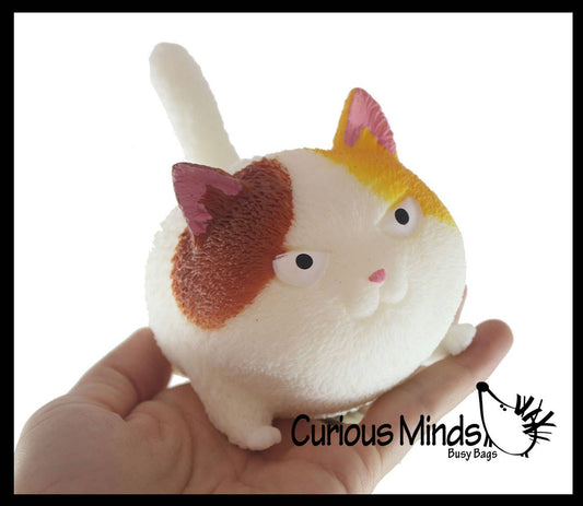 Curious Minds Toys - 1 Angry Cat Soft Fluff Doh - Filled Squeeze Stress Balls  -